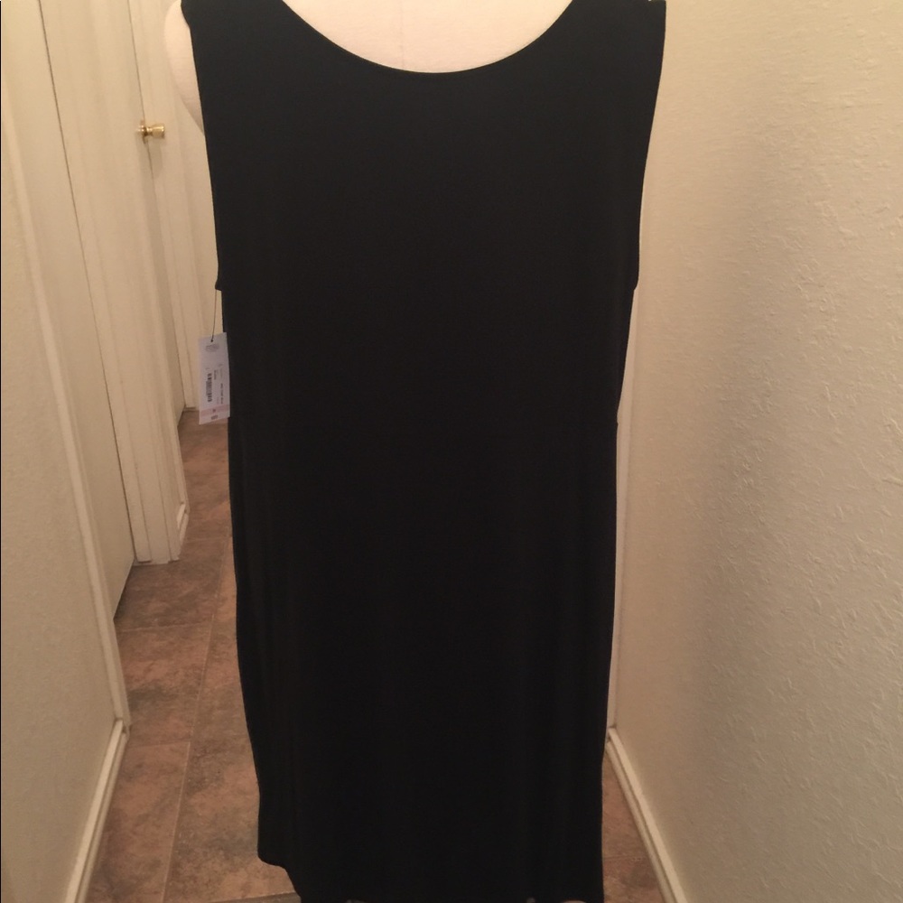 Ana dress size 2x - Picture 3 of 3